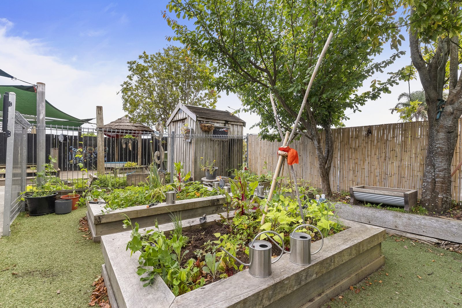 The sustainable garden at Bear Park Henderson