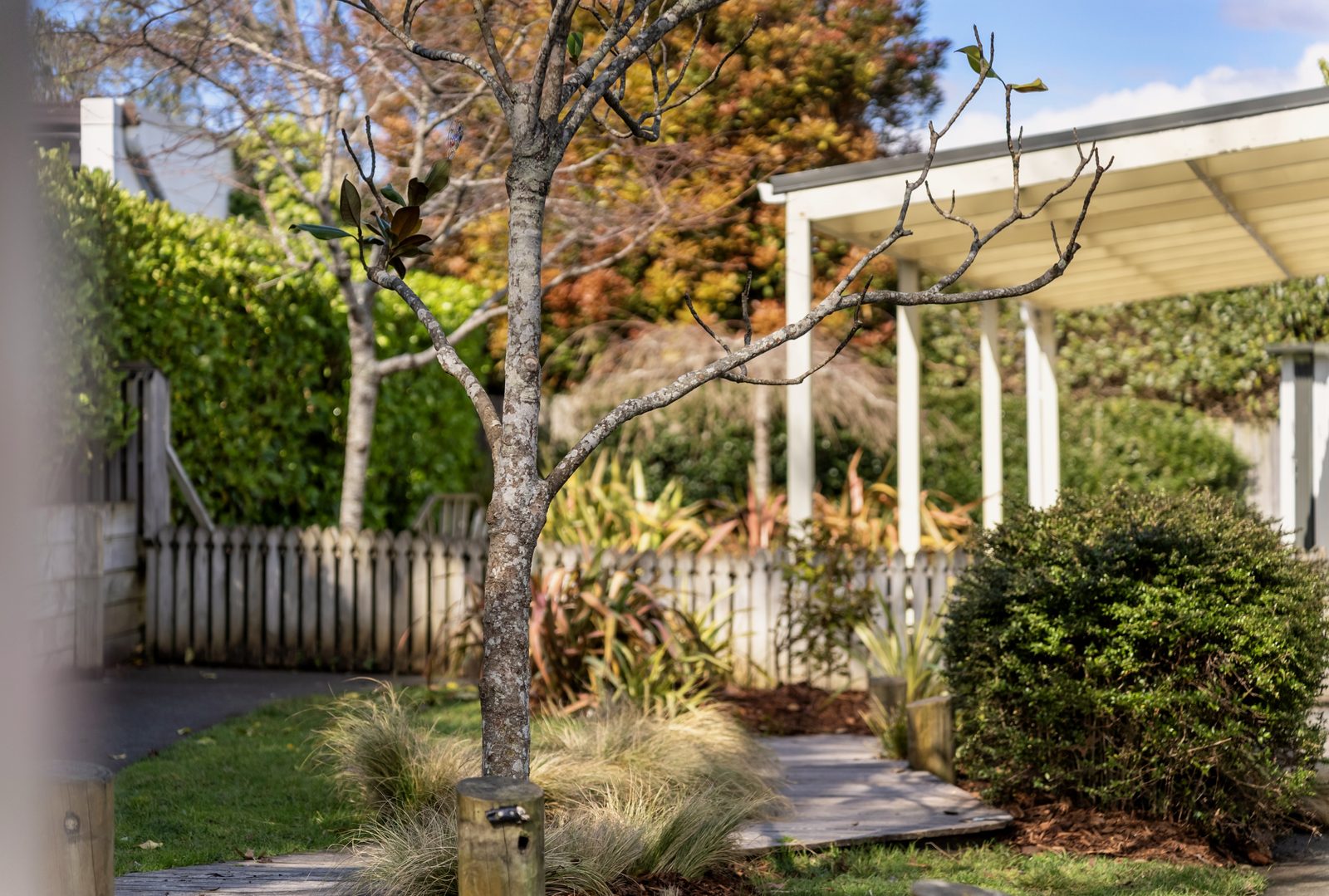 Families and children at Bear Park Kohimarama