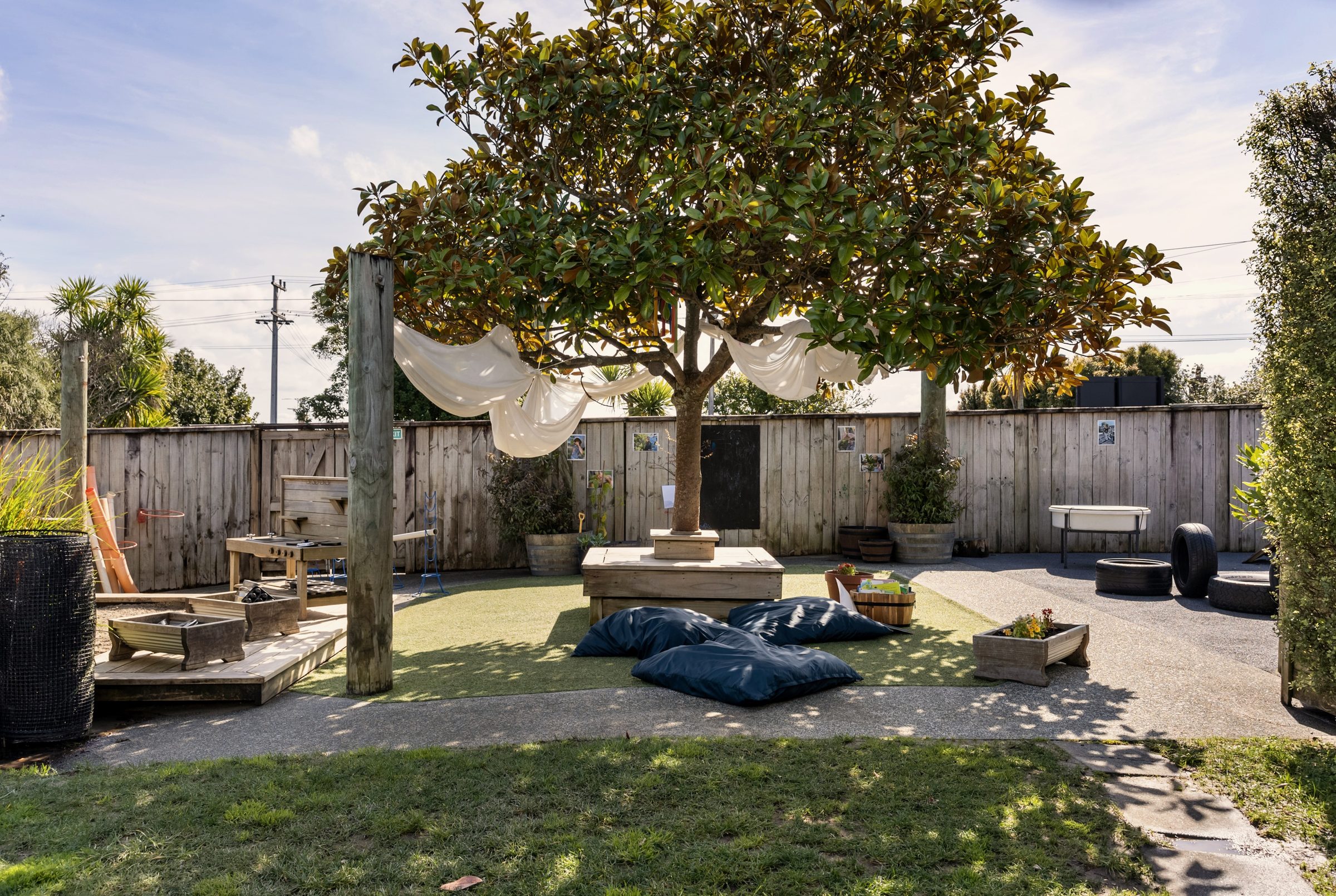 Bear Park Kohimarama