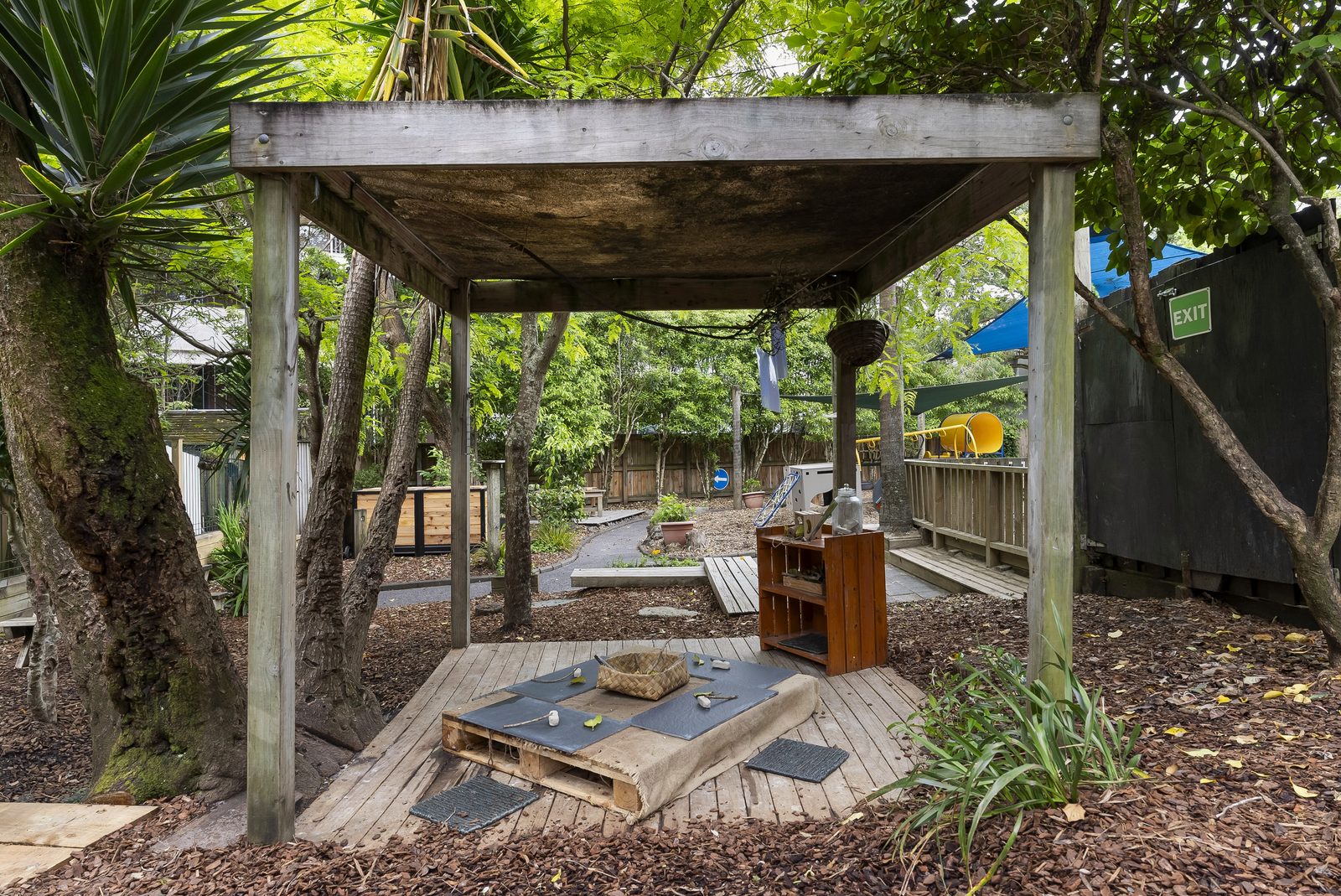 The Mt Eden garden beneath tall Puriri trees