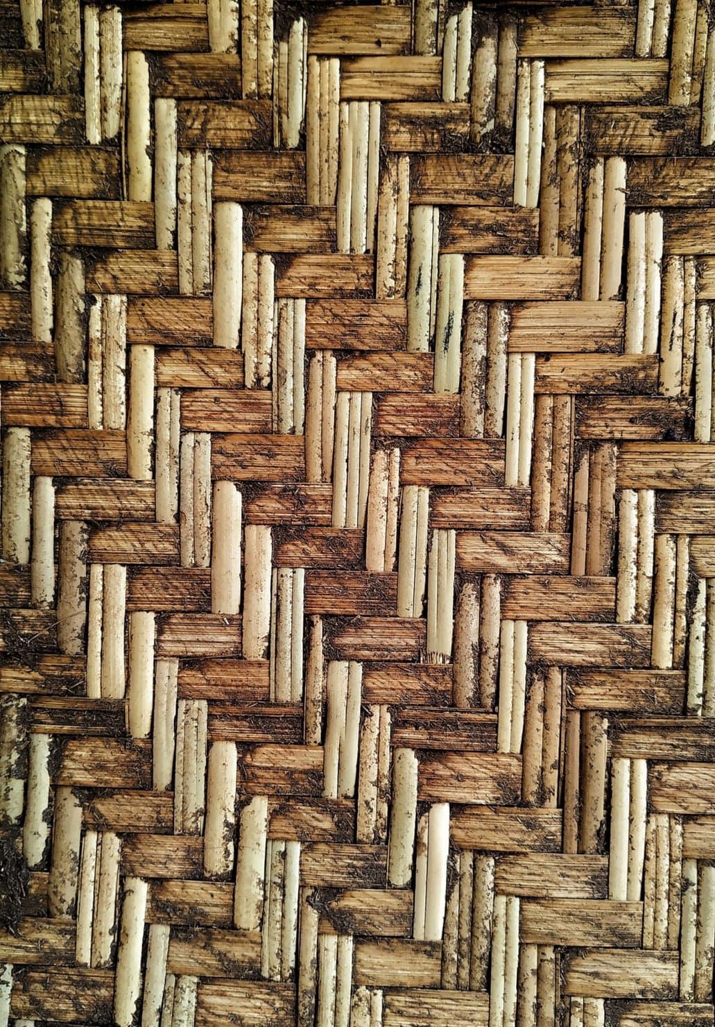 Weaving in a Bicultural Pedagogy
