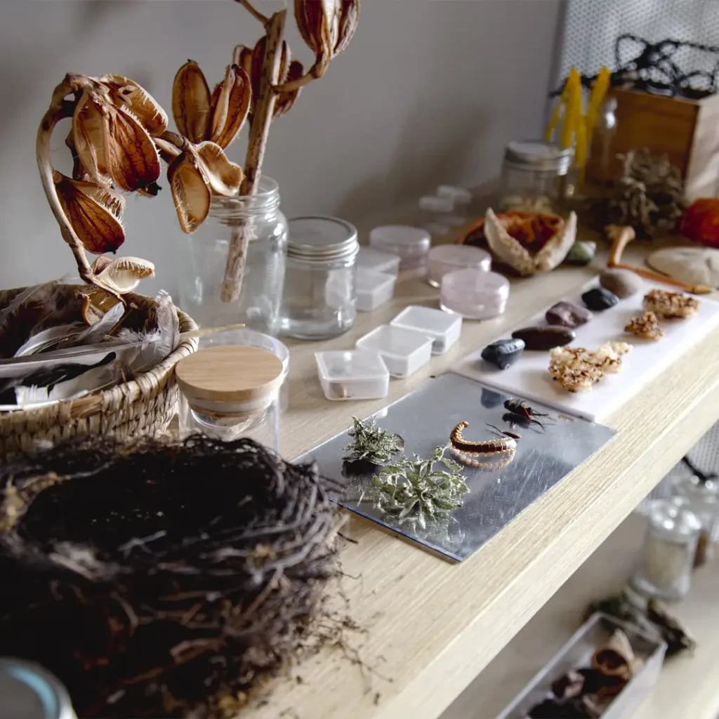 Photograph 1 from the Bear Park Journal story Environments with Emma Waldegrave
