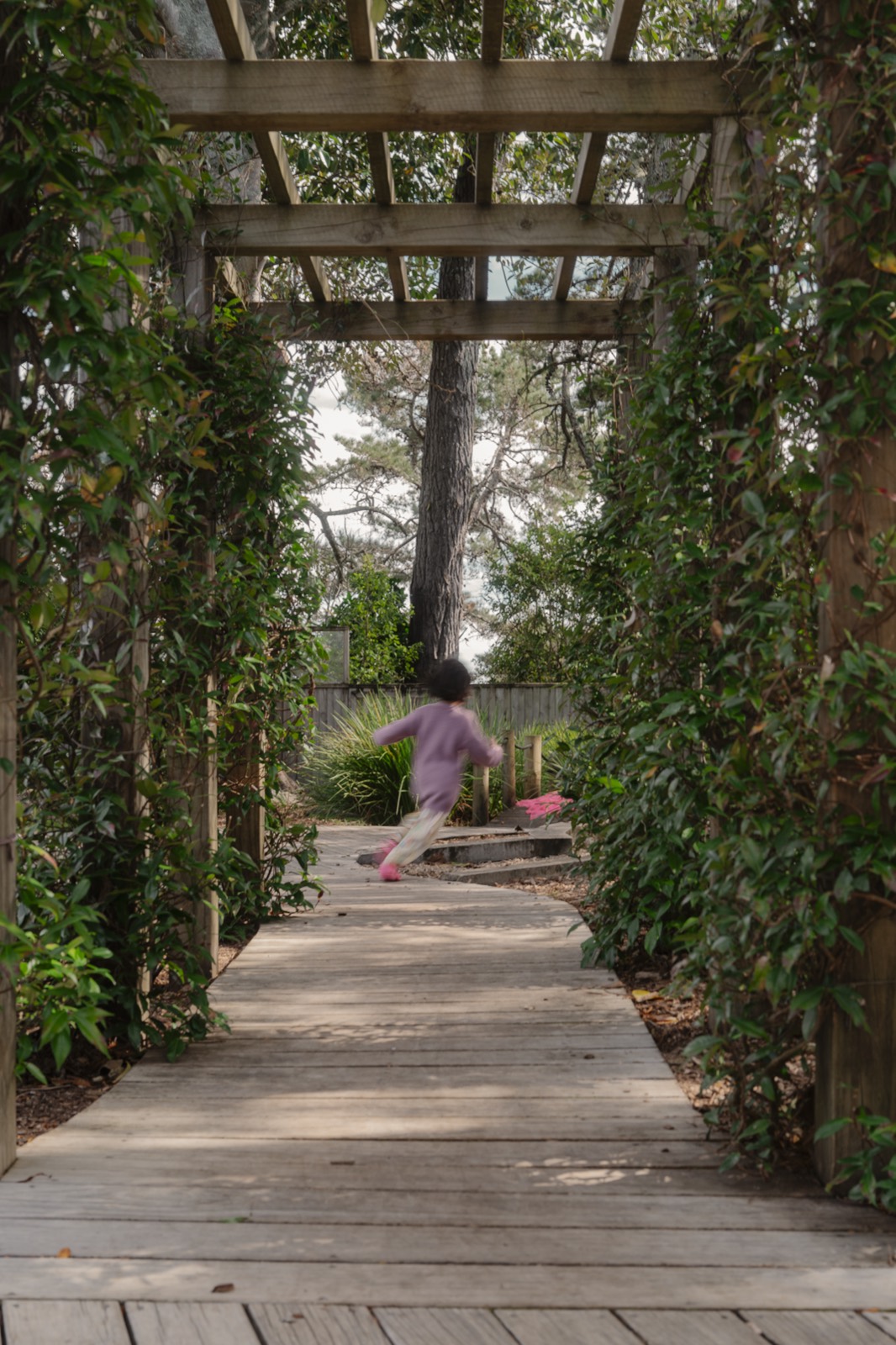A child running the boardwalk beneath a vine-covered pergola in a Bear Park garden
